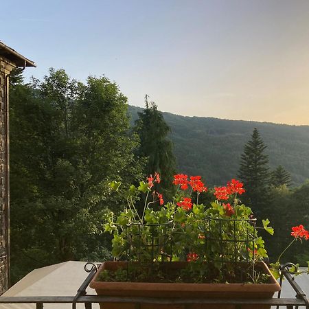 Hotel Regina Abetone Kültér fotó
