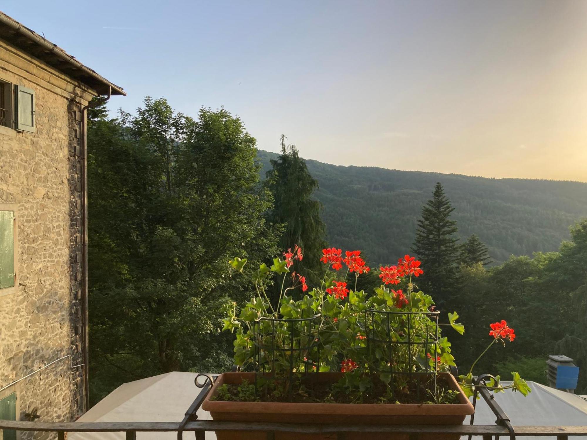Hotel Regina Abetone Kültér fotó